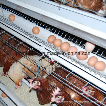 une cage de poulet de volaille de type pour la poule de poulailler de couche